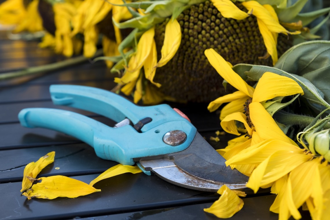Les 5 outils indispensables au jardinage