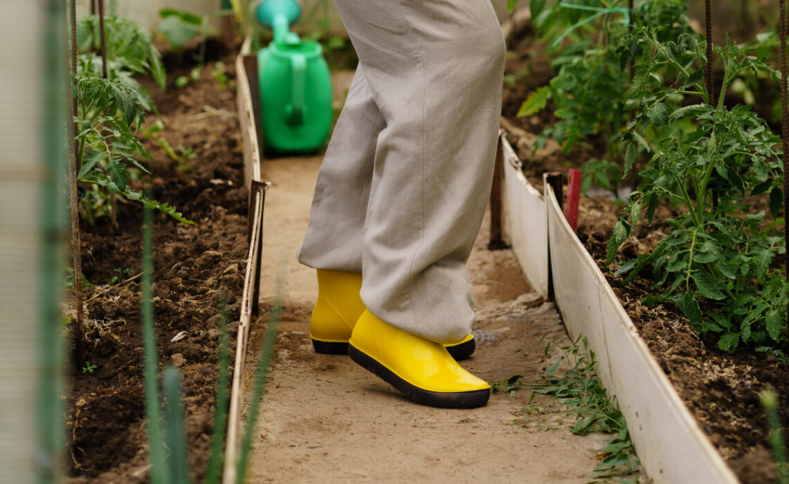 chaussure mode au jardin