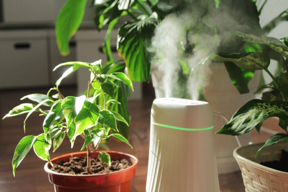 Vapeur de l'humidificateur, humidifie l'air sec entouré de plantes d' intérieur. Maison jardin, soins des plantes image libre de droit par  Dimaberlin © #516633934