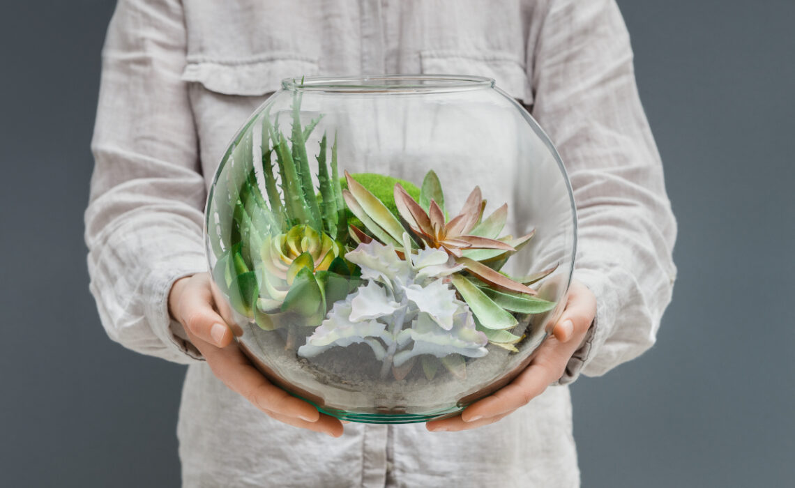 créer un terrarium