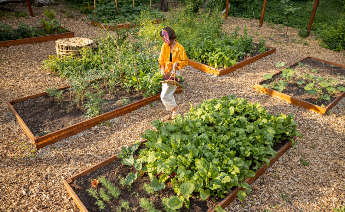 délimiter un potager