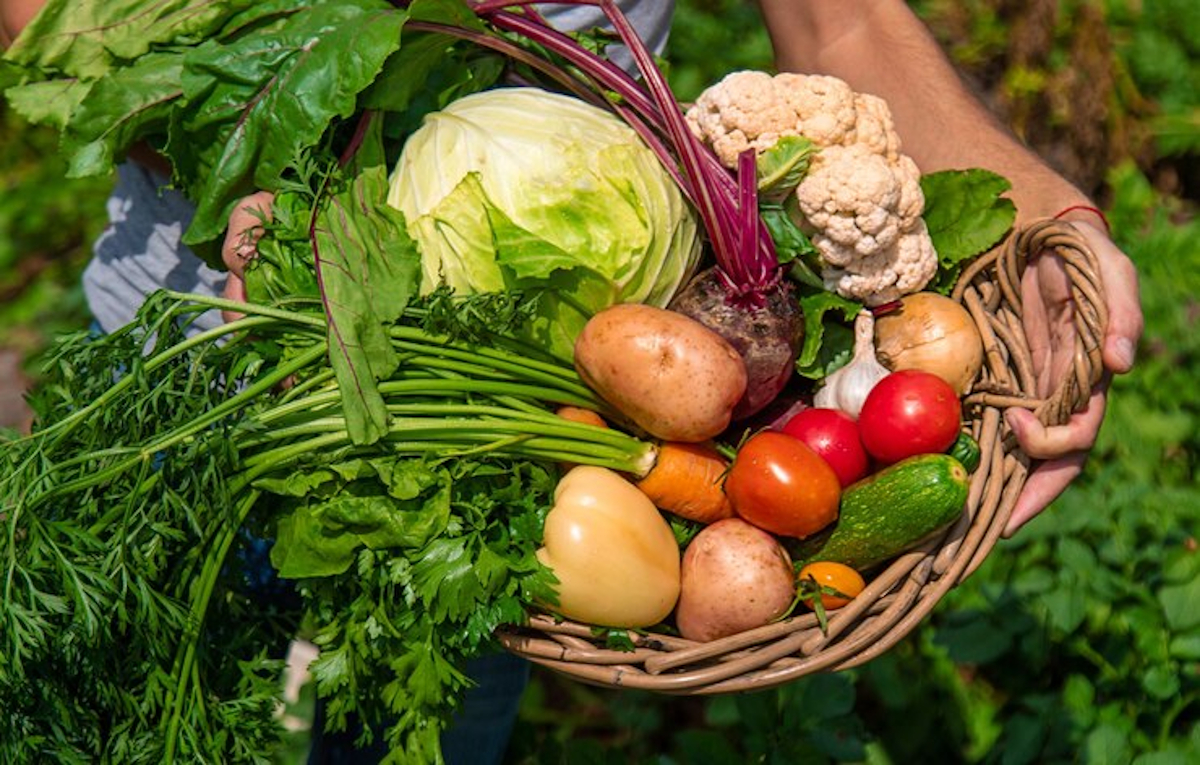 légumes biologiques