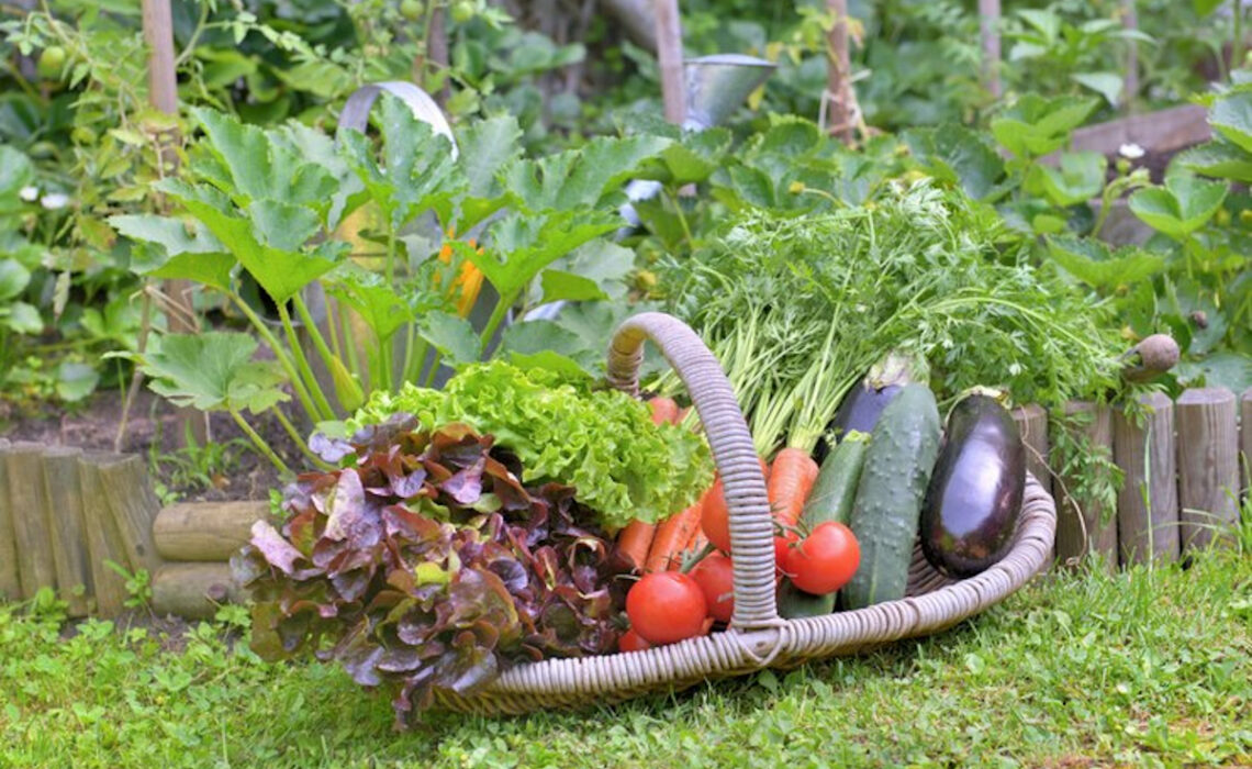 meilleur goût légumes