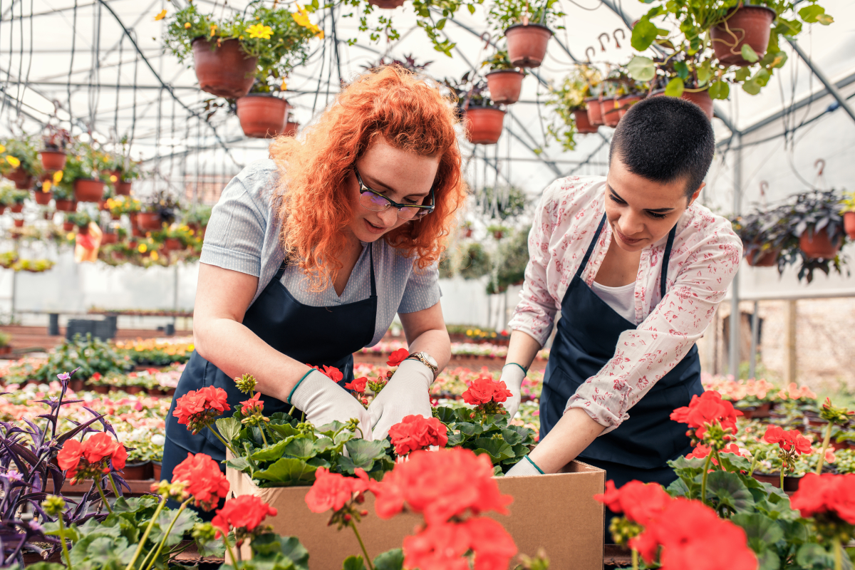 Cadeaux de Noël : épanouissez les amoureux de jardinage